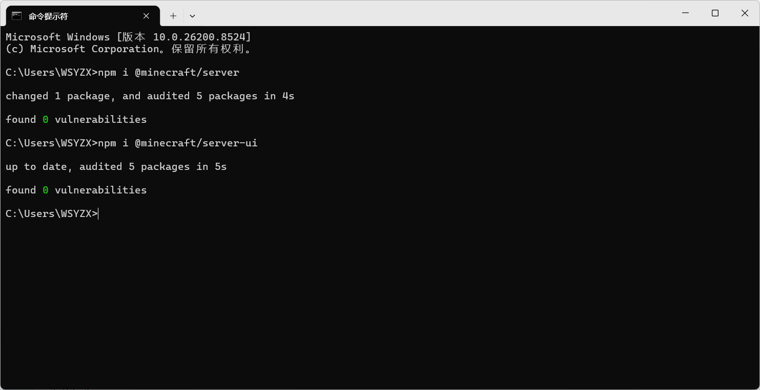 npm_2